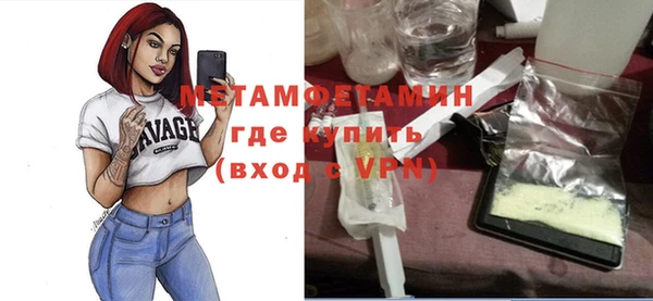 индика Сатка