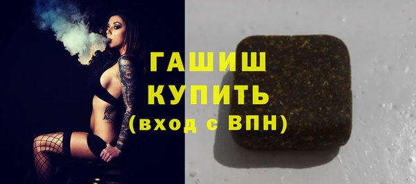 индика Сатка