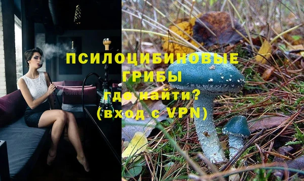 амф Саяногорск